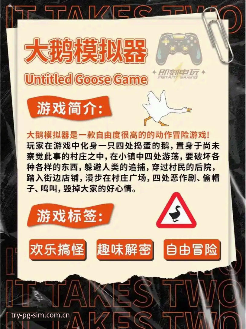 PG模拟器登录功能深度评测：从安全验证到游戏体验的全方位解析